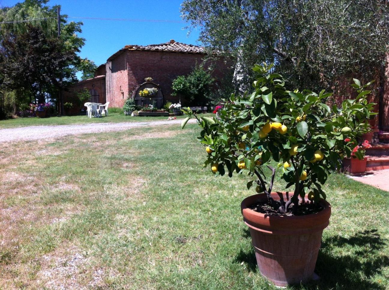 Agriturismo La Collina Villa Siena Exterior photo